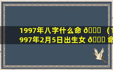 1997年八字什么命 🐅 （1997年2月5日出生女 🐘 命八字）